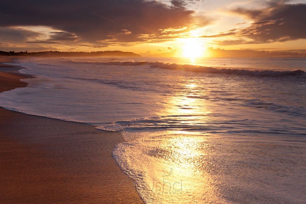 Photo of Dee Why Beach SYD2726 - Gusha