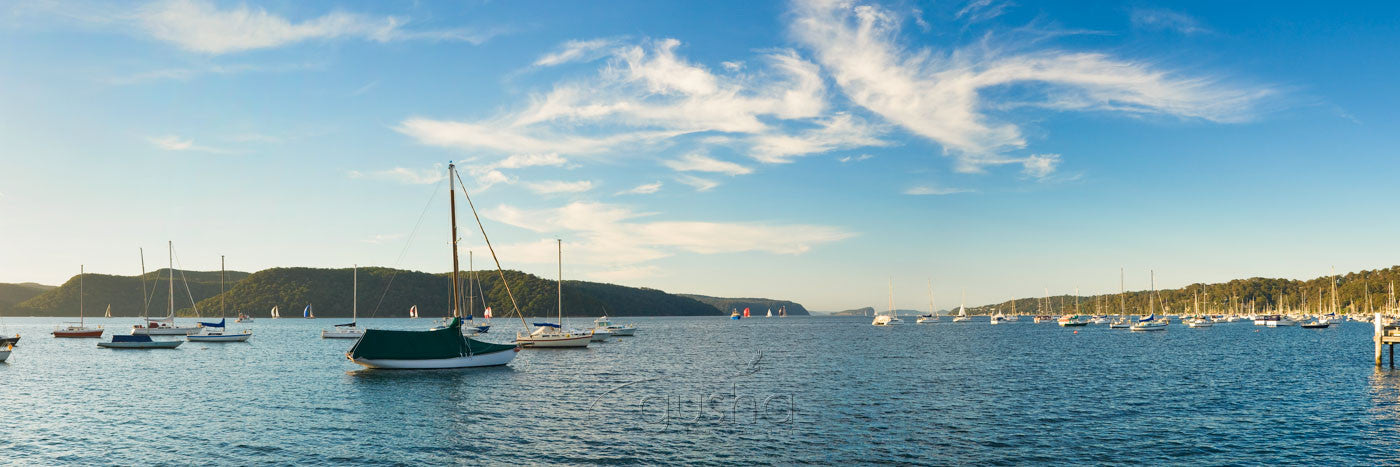 Photo of Taylors Point SYD2812 - Gusha