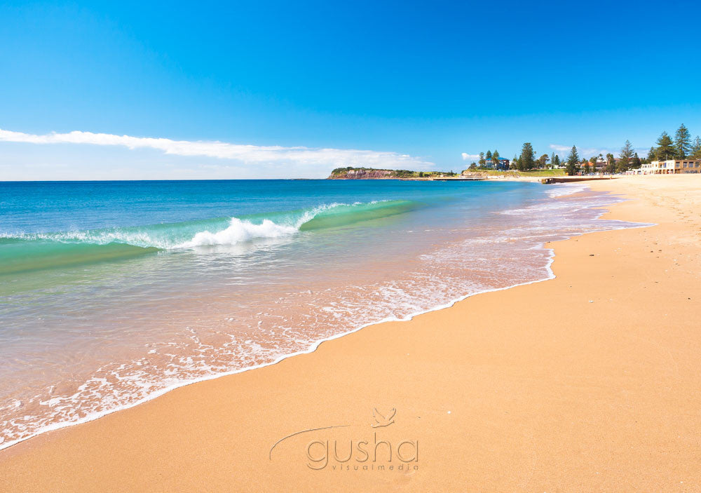 Photo of Collaroy Beach SYD2900 - Gusha