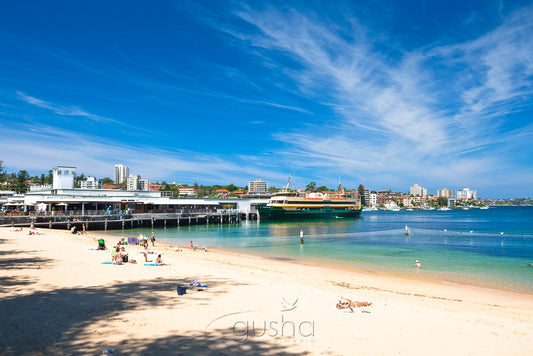 Manly Harbour SYD2909