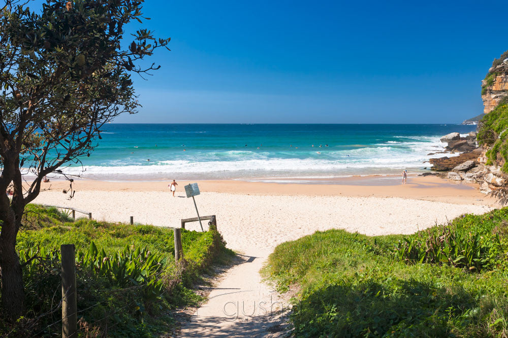 Photo of Freshwater Beach SYD2969 - Gusha