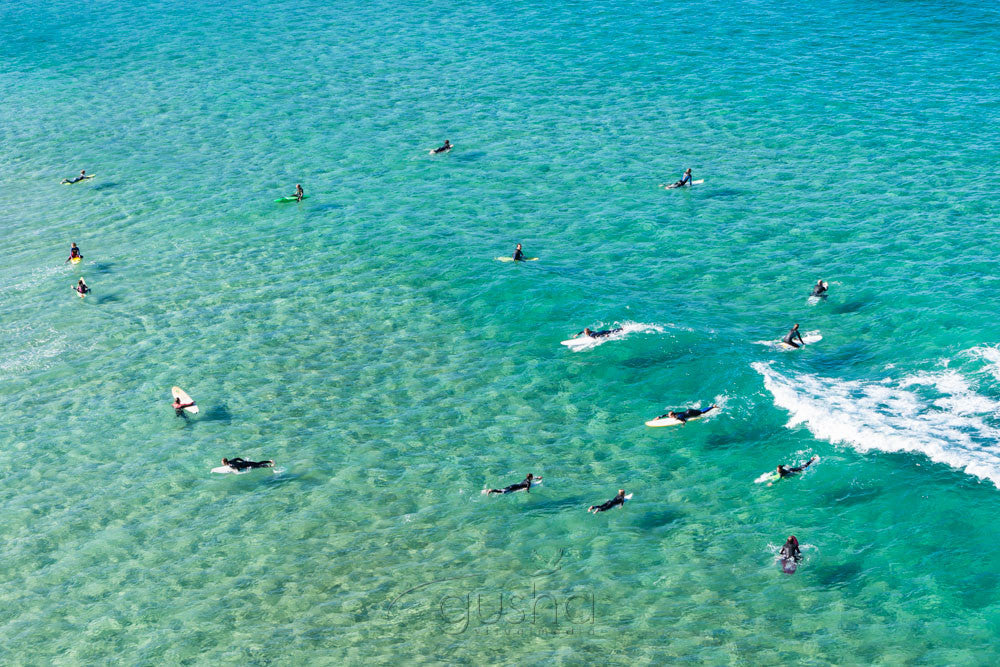 Photo of Freshwater Beach SYD2970 - Gusha