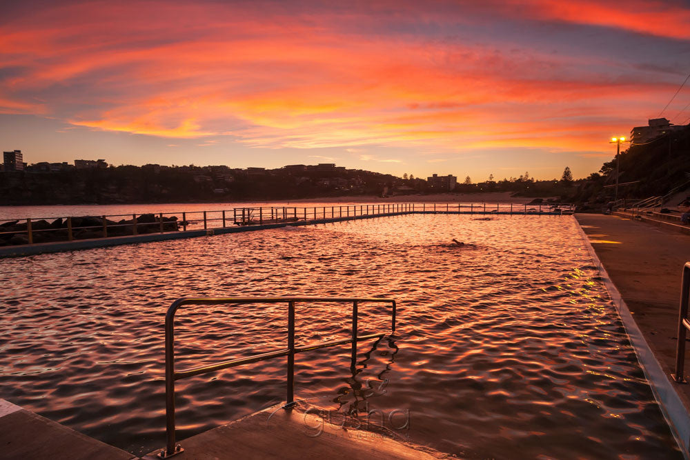 Photo of Freshwater Beach SYD3023 - Gusha