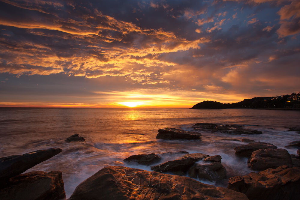 Photo of Fairy Bower Sunrise SYD3088 - Gusha
