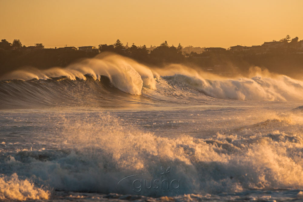 Photo of Mona Vale Beach SYD3110 - Gusha