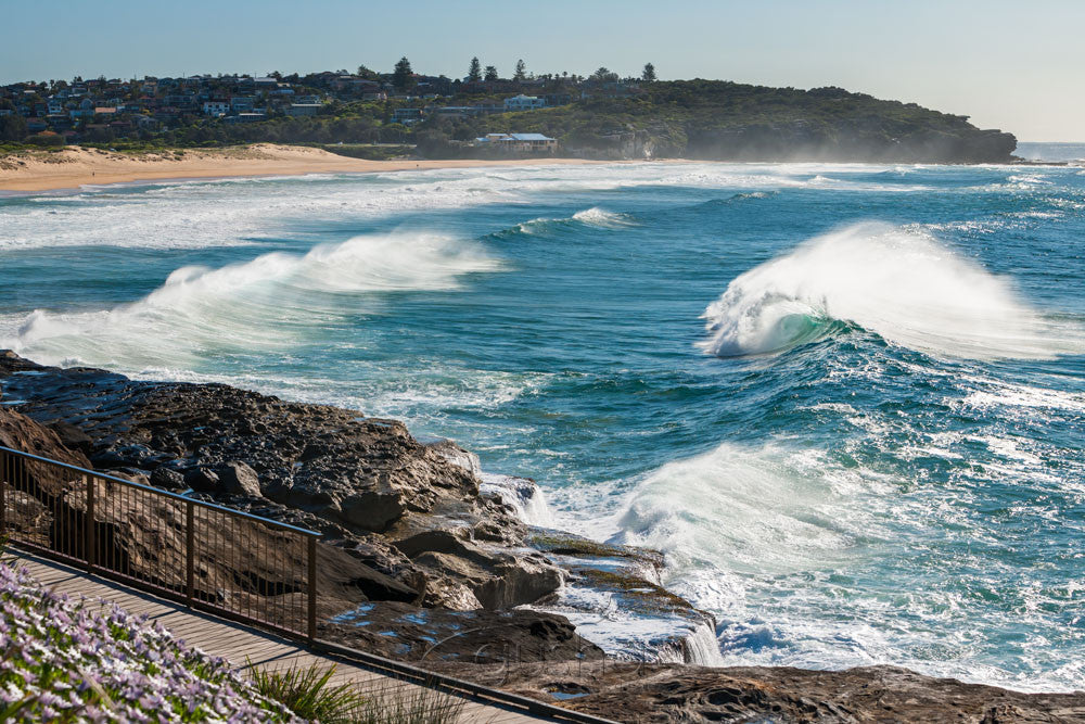 Photo of Curl Curl Beach SYD3213 - Gusha
