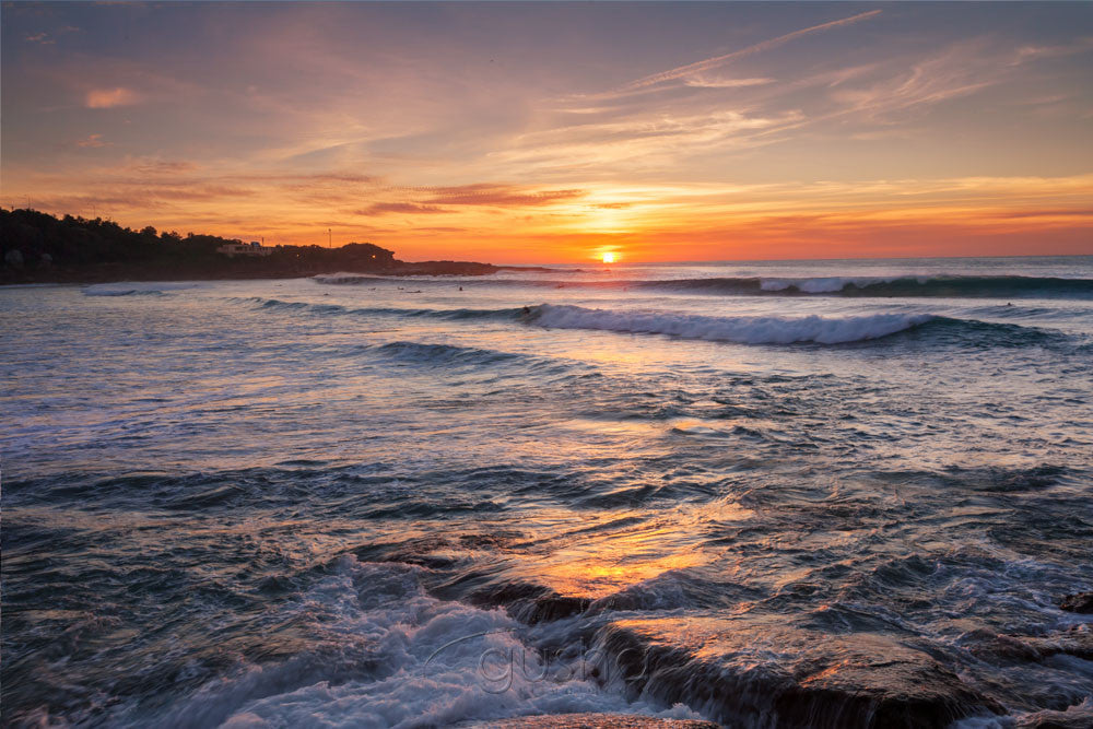 Photo of Freshwater Beach SYD3245 - Gusha