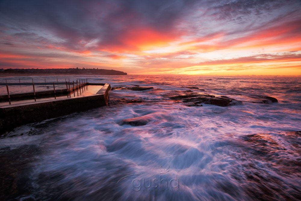 Photo of Curl Curl Beach SYD3247 - Gusha