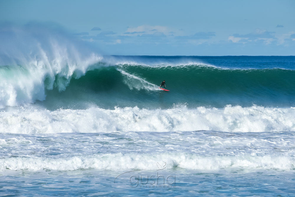 Photo of Narrabeen Beach SYD3261 - Gusha
