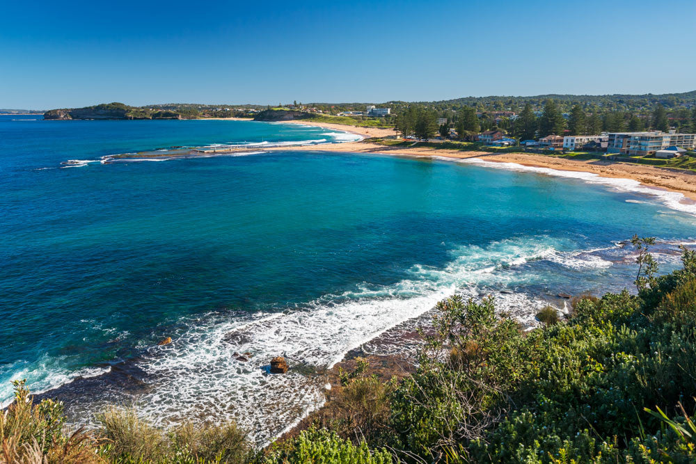 Photo of Mona Vale Beach SYD3262 - Gusha