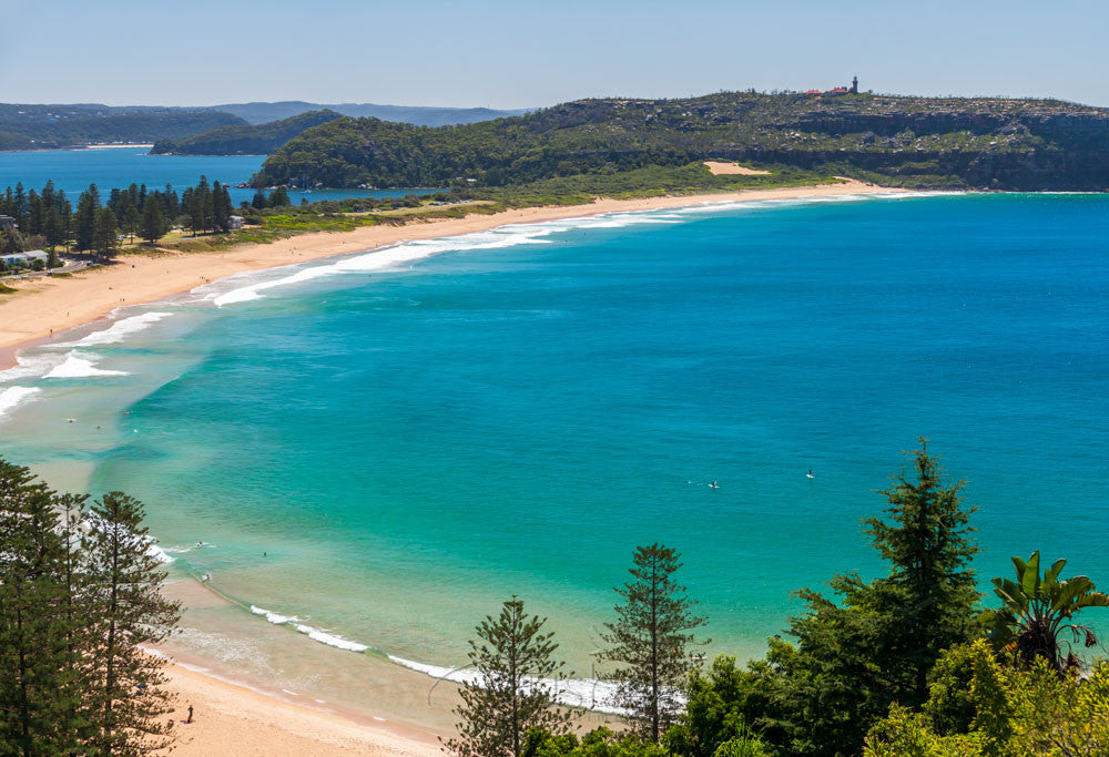 Photo of Palm Beach SYD3263 - Gusha