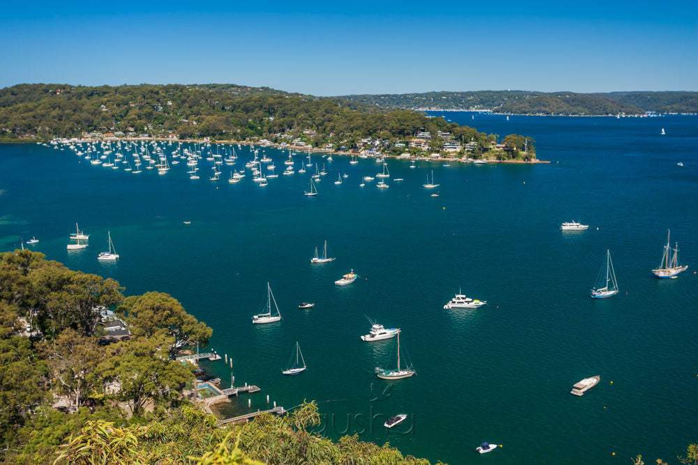 Photo of Careel Bay SYD3265 - Gusha