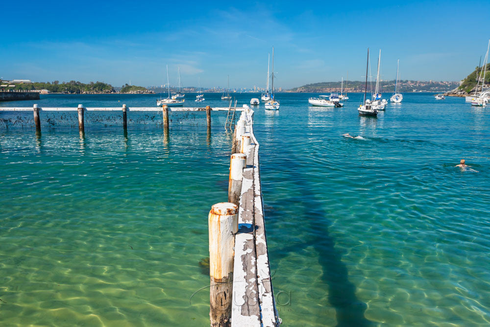 Photo of Little Manly Beach SYD3266 - Gusha