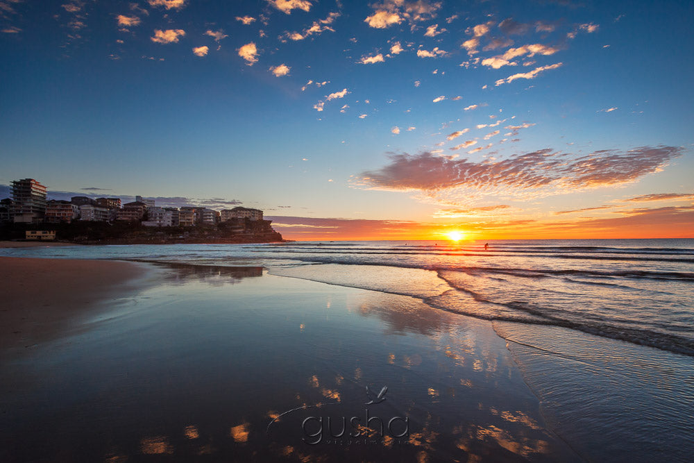 Queenscliff Beach SYD3275