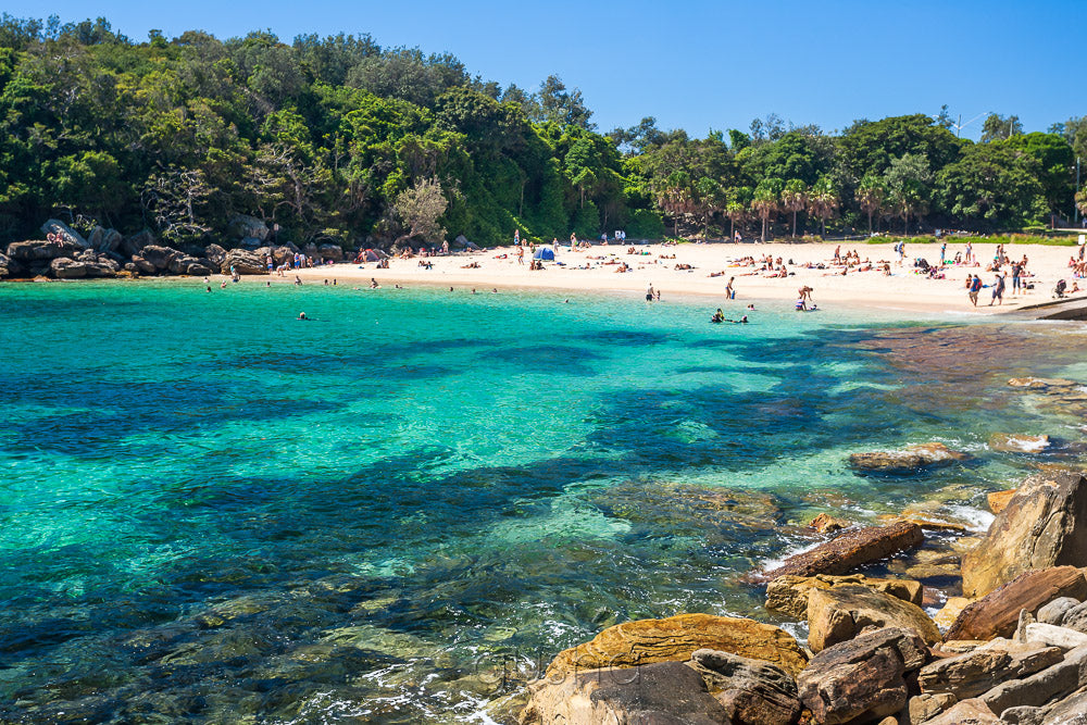 Shelly Beach SYD3478