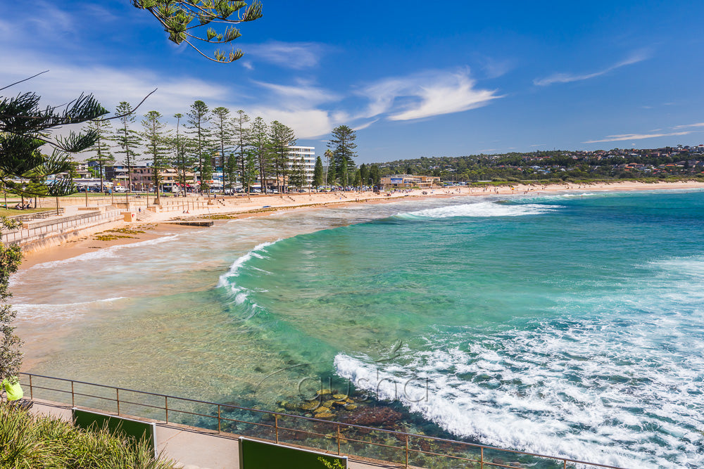Dee Why Beach photo