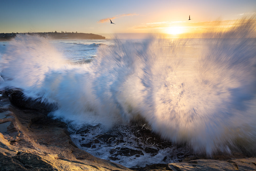 South Curl Curl photo