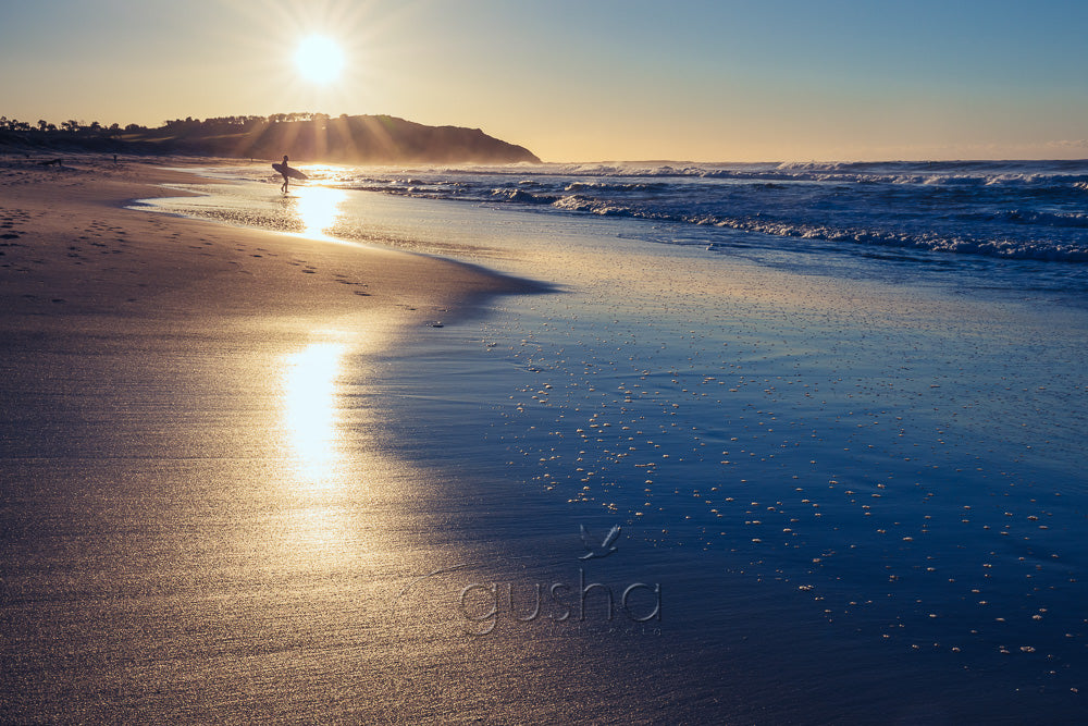 Long Reef Beach photo