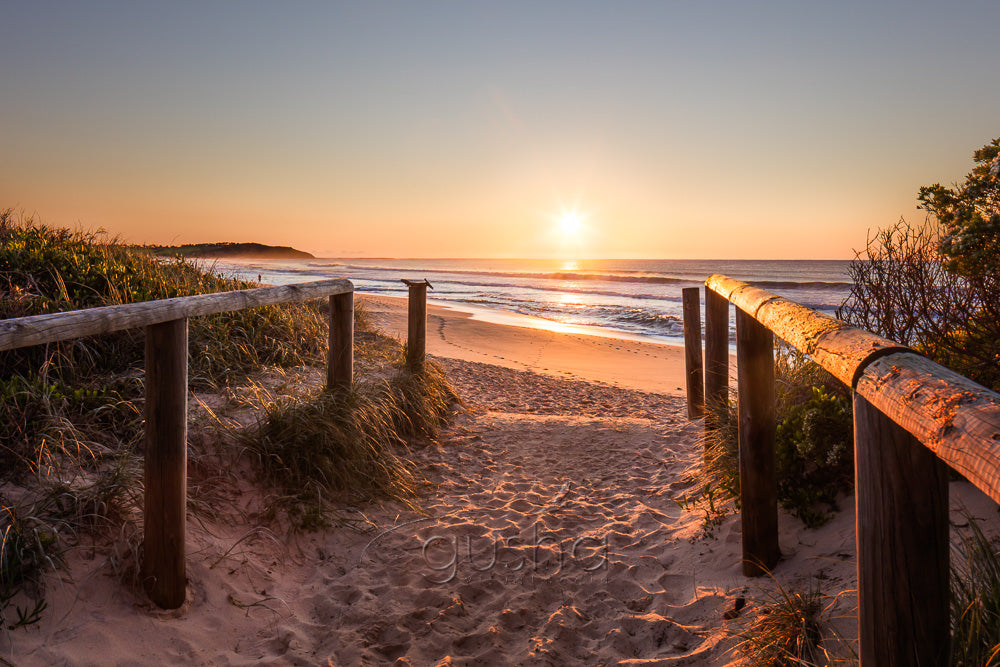 Dee Why Beach photo