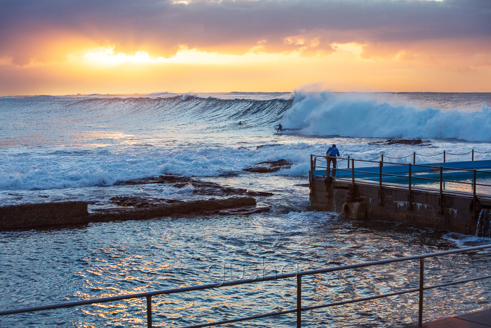 Dee Why Point photo