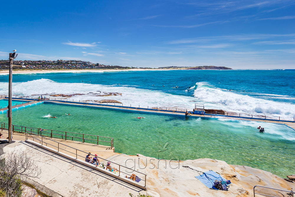 Dee Why Point photo