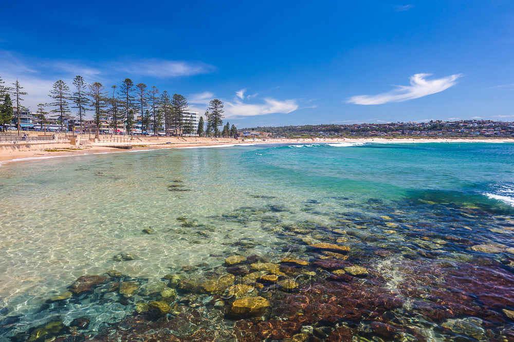 Dee Why Beach photo