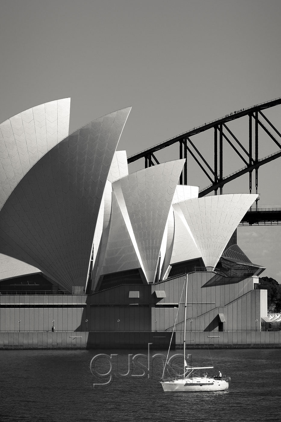 Sydney Harbour photo