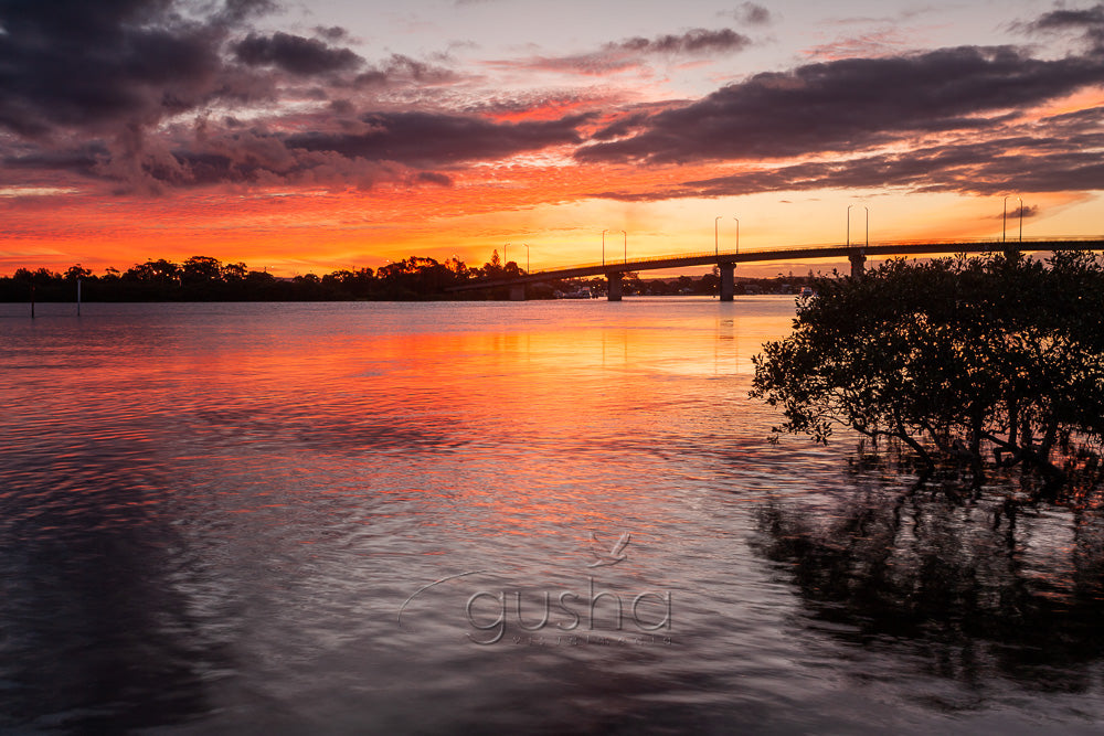 Singing Bridge HN1613