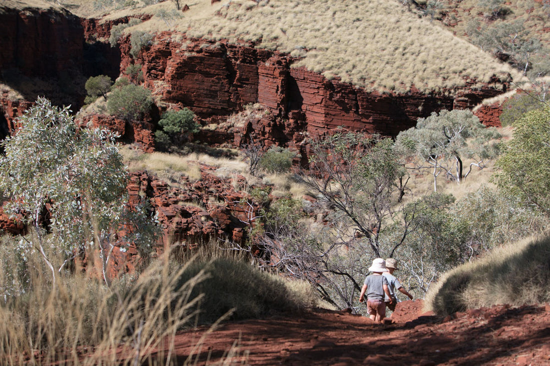 Benhams go Walkabout WEEK 14 - THE PILBARA, KARIJINI