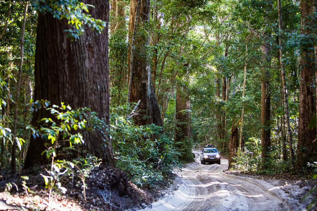 Benhams go Walkabout - WEEK 4 FRASER ISLAND & QLD CENTRAL HIGHLANDS