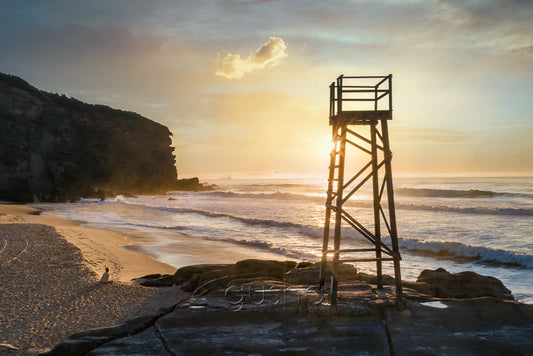 Redhead Beach NE3895