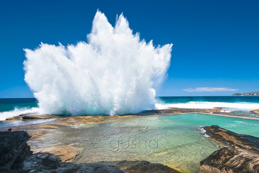 North Curl Curl Pool SYD0872