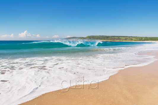 Maroubra Beach SYD1099