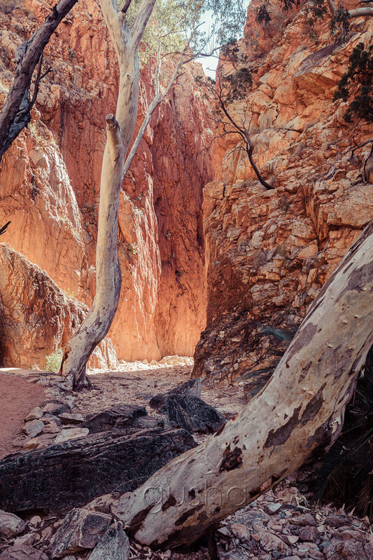 Standley Chasm photo