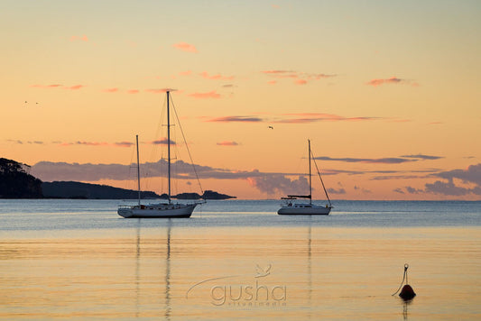 Photo of Batemans Bay BAT0558 - Gusha