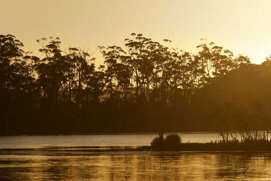 Photo of Durras Lake BAT1368 - Gusha