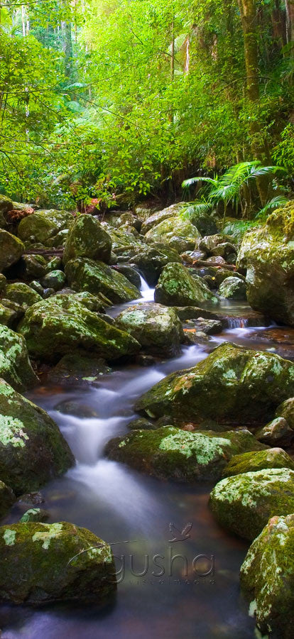 Photo of Minyon Falls National Park BB0234 - Gusha