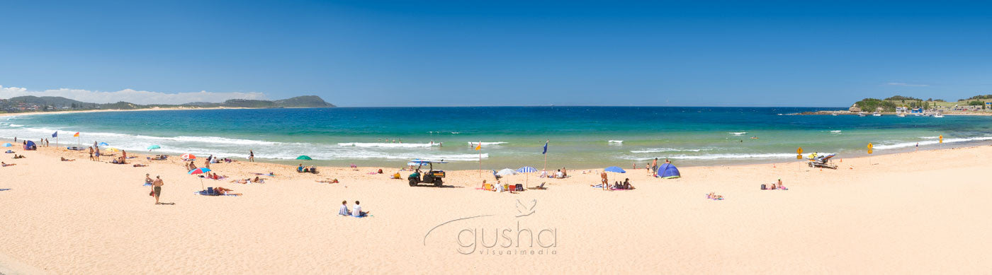 Photo of Terrigal Beach CC1164 - Gusha