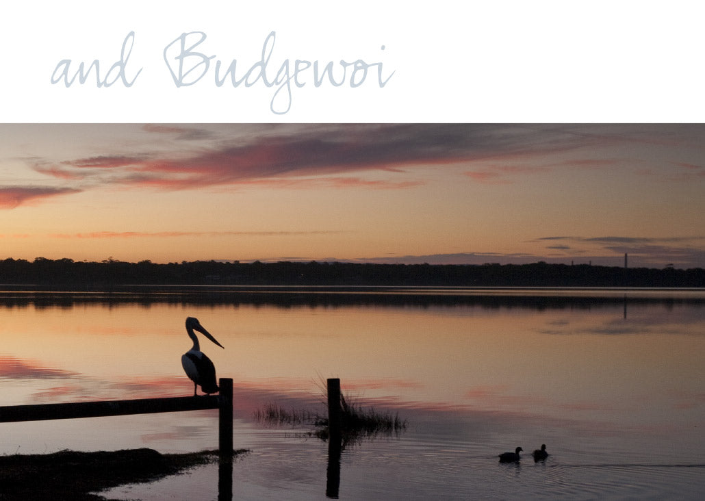 The Splendour of the Central Coast Book