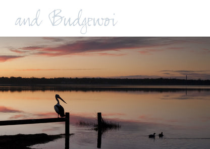The Splendour of the Central Coast Book