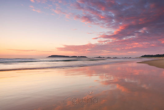 Photo of Nobbys Sunrise CH0677 - Gusha