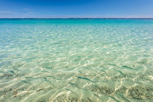A school of small fish swim in crystal clear waters at Turquoise Bay, inside Ningaloo Reef, Australia.
