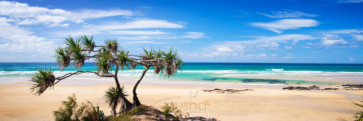 Fraser Island Photos - Gusha