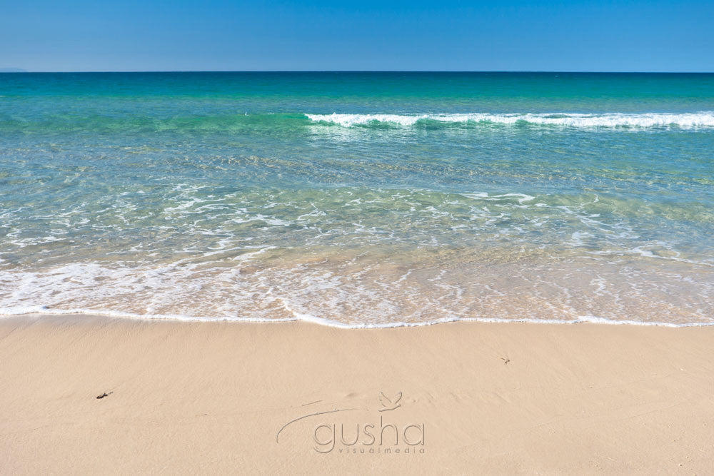 Photo of Forster Beach FO2618 - Gusha