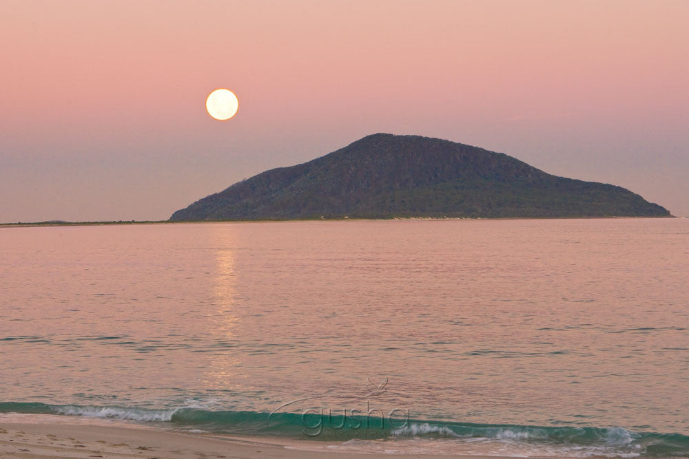 Photo of Jimmys Beach HN0761 - Gusha