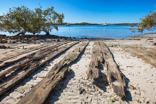 A photo of the intertidal zone along the Myall River in Australia