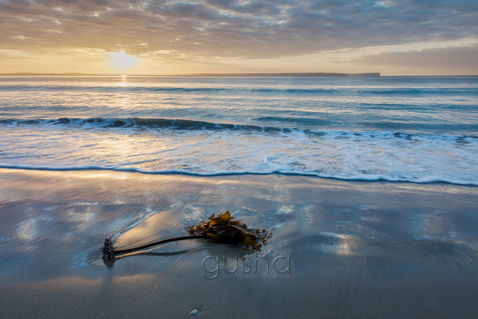 Collingwood Beach Photo