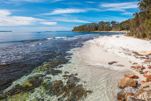 Sharknet Beach Photo