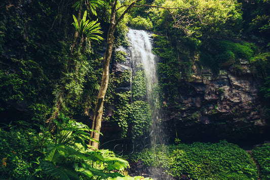 Crystal Shower Falls Photo