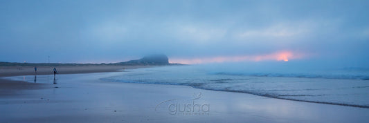 Photo of Nobbys Beach NE1548 - Gusha